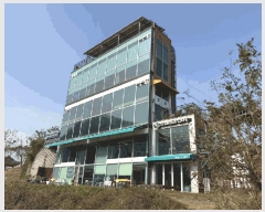  2025Ÿ��503628 ����Ư����ġ�� �屺�� �ݾϸ� 341-1 1�� 1�� 101ȣ    ��,�繫�ǰ��