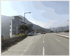  2025Ÿ��503628 ����Ư����ġ�� �屺�� �ݾϸ� 341-1 1�� 1�� 101ȣ    ��,�繫�ǰ��