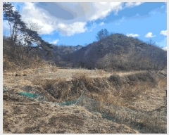  2025Ÿ��396 �泲 �ݻ걺 ����� ������ 9      ����(��)���