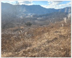  2025Ÿ��396 �泲 �ݻ걺 ����� ������ 9      ����(��)���