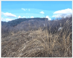  2025Ÿ��396 �泲 �ݻ걺 ����� ������ 9      ����(��)���