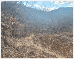  2025Ÿ��396 �泲 �ݻ걺 ����� ������ 9      ����(��)���