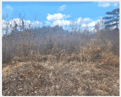  2025Ÿ��396 �泲 �ݻ걺 ����� ������ 9      ����(��)���