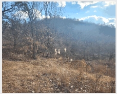  2025Ÿ��396 �泲 �ݻ걺 ����� ������ 9      ����(��)���