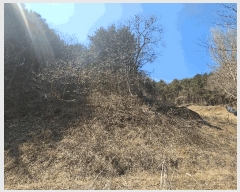  2025Ÿ��655  �Ӿ߰��