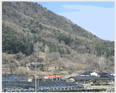  2025Ÿ��655  �Ӿ߰��