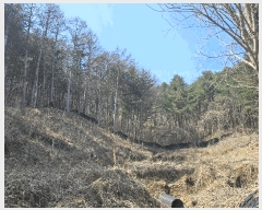  2025Ÿ��655  �Ӿ߰��