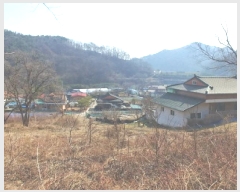  2025Ÿ��655  �Ӿ߰��