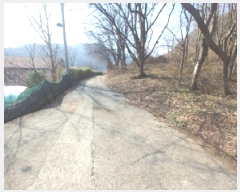  2025Ÿ��655  �Ӿ߰��