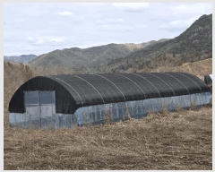  2025Ÿ��1153  ����