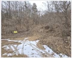  2025Ÿ��1153  ����