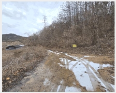  2025Ÿ��1153  ����