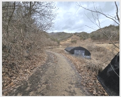  2025Ÿ��1153  ����