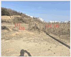  2025Ÿ��1689  �����