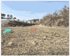  2025Ÿ��1689  �����