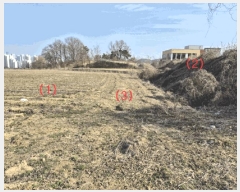  2025Ÿ��1689  �����