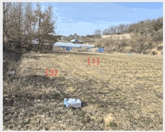  2025Ÿ��1689  �����