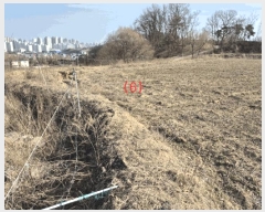  2025Ÿ��1689  �����