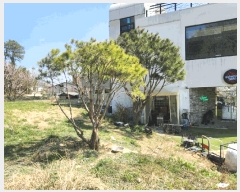  2025Ÿ��2699 ���� ������ ȭ�ϵ� 141-3       ����(��1)���