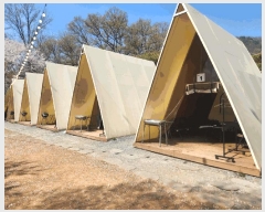  2025Ÿ��2699 ���� ������ ȭ�ϵ� 141-3       ����(��1)���