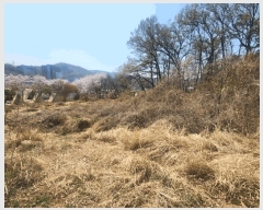  2025Ÿ��2699 ���� ������ ȭ�ϵ� 141-3       ����(��1)���