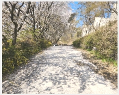  2025Ÿ��2699 ���� ������ ȭ�ϵ� 141-3       ����(��1)���