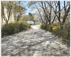  2025Ÿ��2699 ���� ������ ȭ�ϵ� 141-3       ����(��1)���