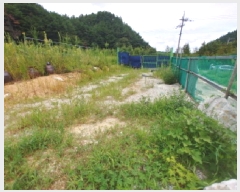  2025Ÿ��3545  ����