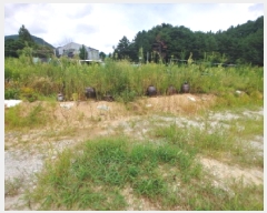  2025Ÿ��3545  ����