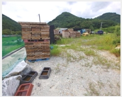  2025Ÿ��3545  ����