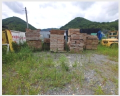  2025Ÿ��3545  ����