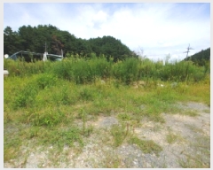  2025Ÿ��3545  ����