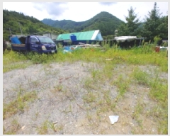  2025Ÿ��3545  ����