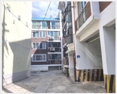  2025Ÿ��3554  �ټ���(����)���