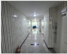  2025Ÿ��3610 ���� ������ ������ 629-1 2��206ȣ      ��������Ȱ���ð��