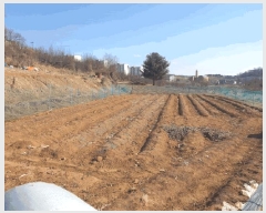  2025Ÿ��501784  ���������