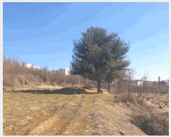  2025Ÿ��501784  ���������