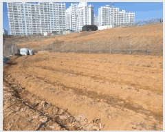  2025Ÿ��501784  ���������