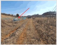  2025Ÿ��501784  ���������