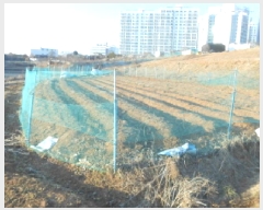  2025Ÿ��501784  ���������