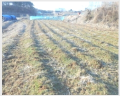  2025Ÿ��501784  ���������