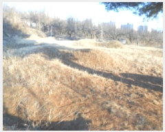  2025Ÿ��501784  ���������