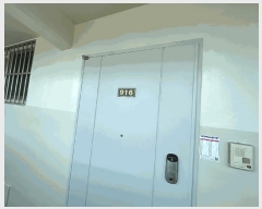  2025Ÿ501984 Ưġ ݳ  320 ݳƮ 101 9916ȣ    Ʈ