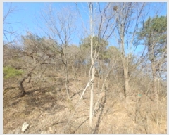  2025Ÿ502004 泲 ݻ걺 ϸ ܺθ 10-1      (Ӿ)