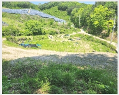  2025Ÿ��502272 �泲 �ݻ걺 ������ ��� ��81-5      ����(�Ӿ�)���