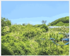  2025Ÿ��502272 �泲 �ݻ걺 ������ ��� ��81-5      ����(�Ӿ�)���