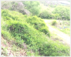  2025Ÿ��502272 �泲 �ݻ걺 ������ ��� ��81-5      ����(�Ӿ�)���