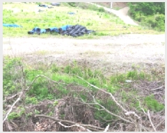  2025Ÿ��502272 �泲 �ݻ걺 ������ ��� ��81-5      ����(�Ӿ�)���