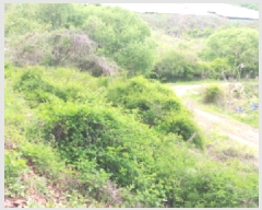  2025Ÿ��502272 �泲 �ݻ걺 ������ ��� ��81-5      ����(�Ӿ�)���