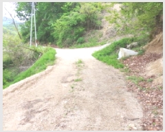  2025Ÿ��502272 �泲 �ݻ걺 ������ ��� ��81-5      ����(�Ӿ�)���